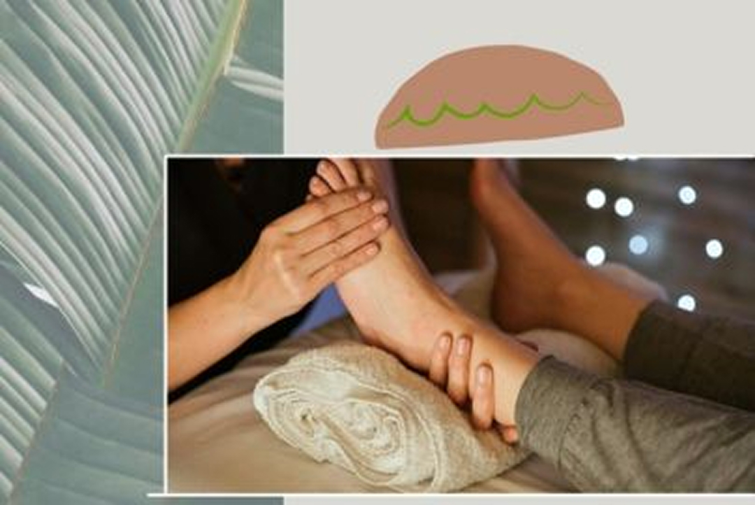 Főnix egészség kuckó masszázs