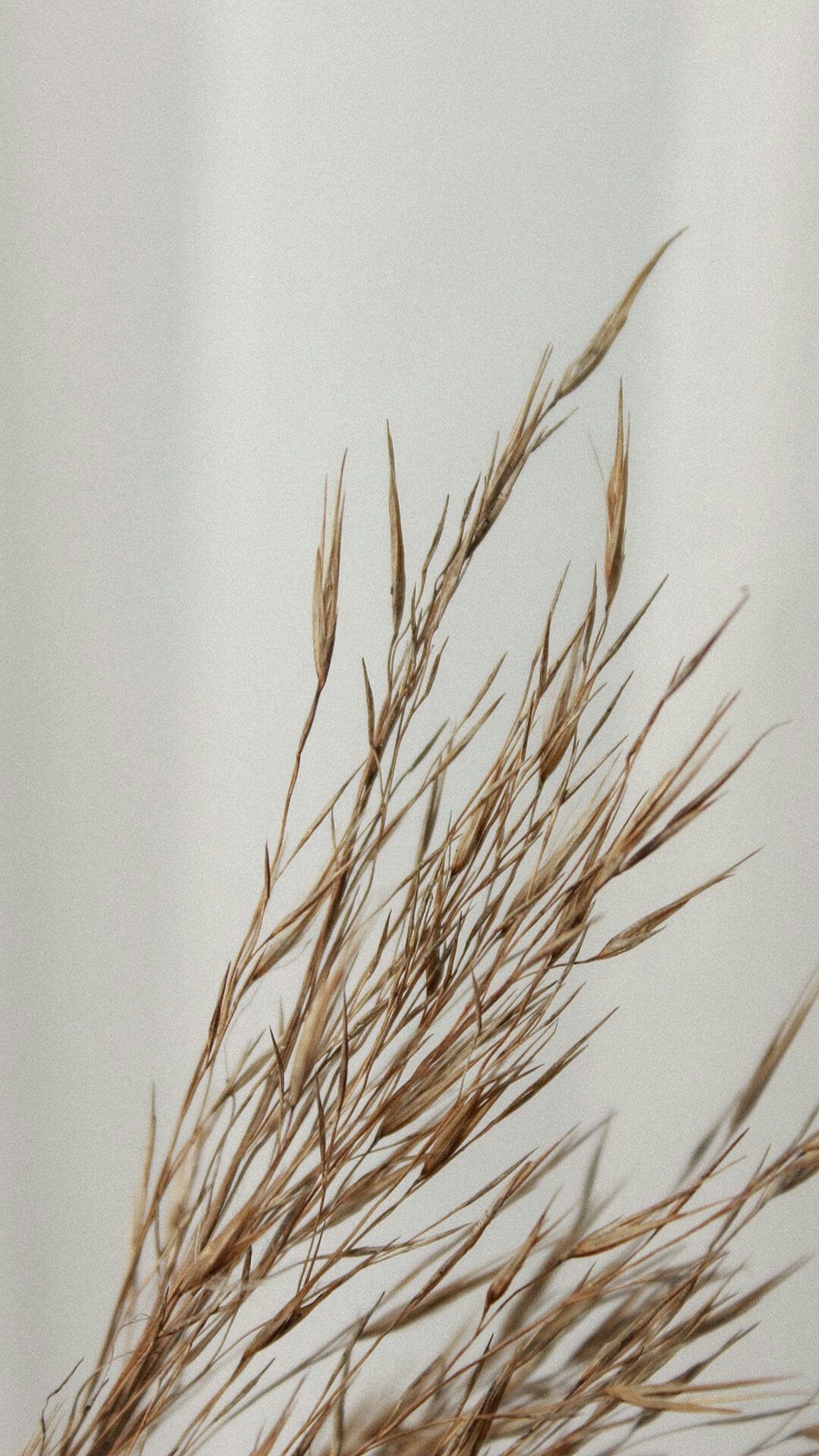 ÁlomComfort ihlette struktúra